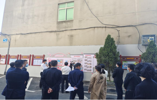 区委书记陶亿国率队实地察看桃花街道灌婴路社区红苗南区围合管理工作
